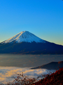 formation japonais